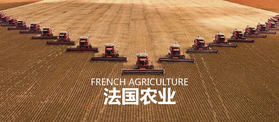 法国农业：欧盟农业大国，，，，，靠这6大战略制胜市场